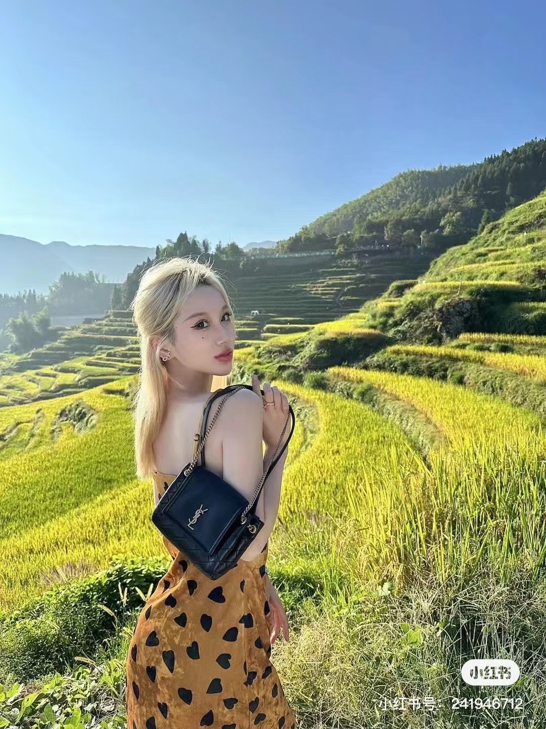 생로랑 672738 모노그램 노리타 미니 크로스백 18x13x6cm